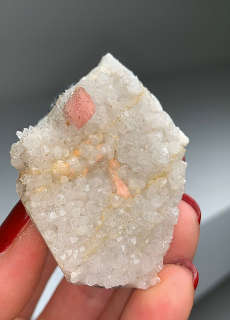 Pyritized Rhodocrosite with Quartz