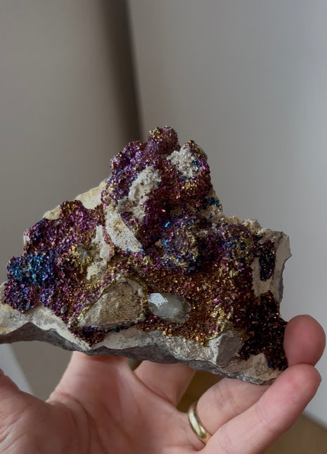 Incredible Color ! Chalcopyrite from Sweetwater mine