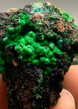 Vibrant Green Conichalcite ! From Spain