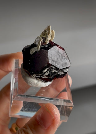 Red Garnet with Muscovite PM0373