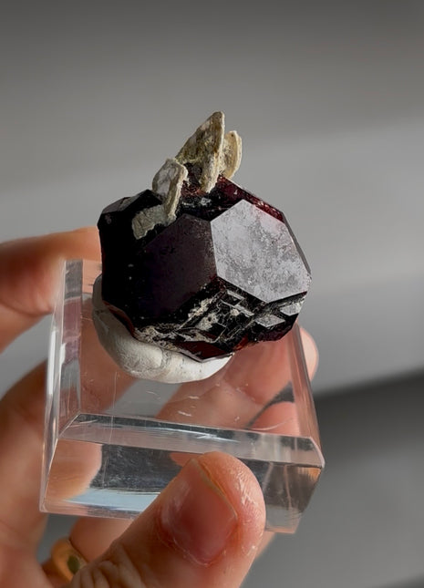 Red Garnet with Muscovite PM0373