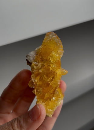 Golden Honey Selenite Flower from Peru