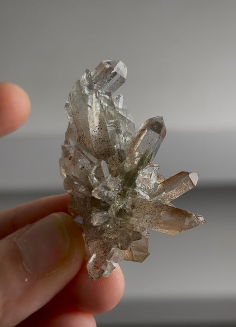 Green and Red Phantom Quartz PM0781