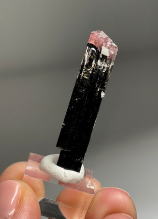 Pink Cap Tourmaline