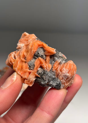 6 Pieces ! Cerussite with Orange Barite and Galena Specimens Lot