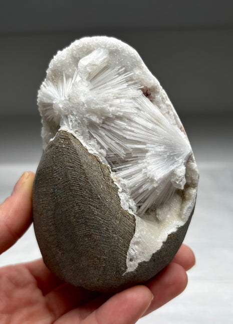 Scolecite Geode with Druzy Quartz