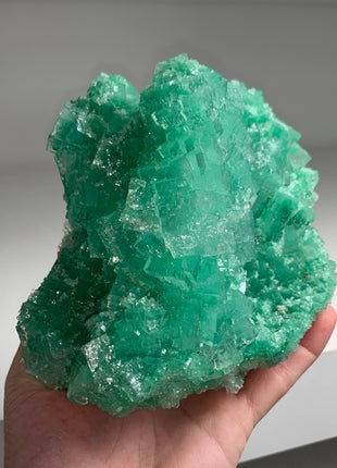 Incredible Green Halite with Atacamite inclusion - From Lubin mine, Poland