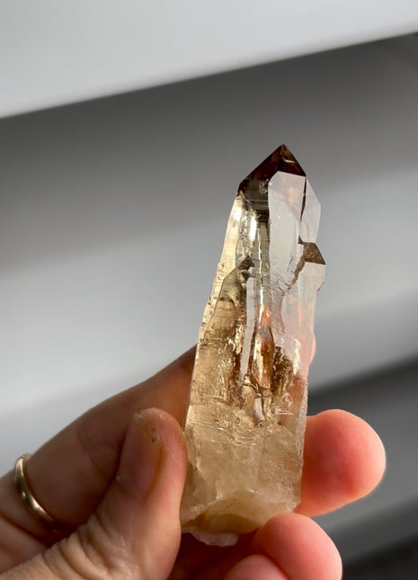 Jenipapo Cathedral Citrine PM1359