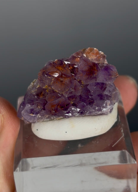 Red Amethyst Flower - From Thunder Bay, Canada