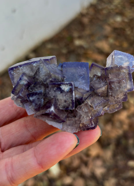 Color Change Fluorite from Weardale, England