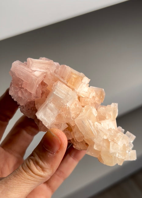 Pink & Yellow Bicolor Halite with Trona