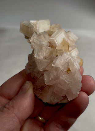 Rare ! Pink and Cream Color Halite