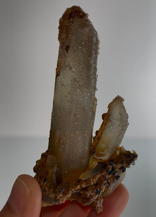 Stardust Quartz PM0701