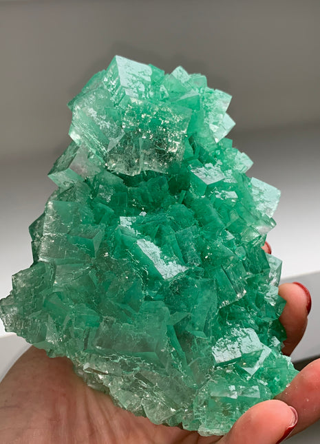 Very High Grade Green Halite - From Lubin mine, Poland