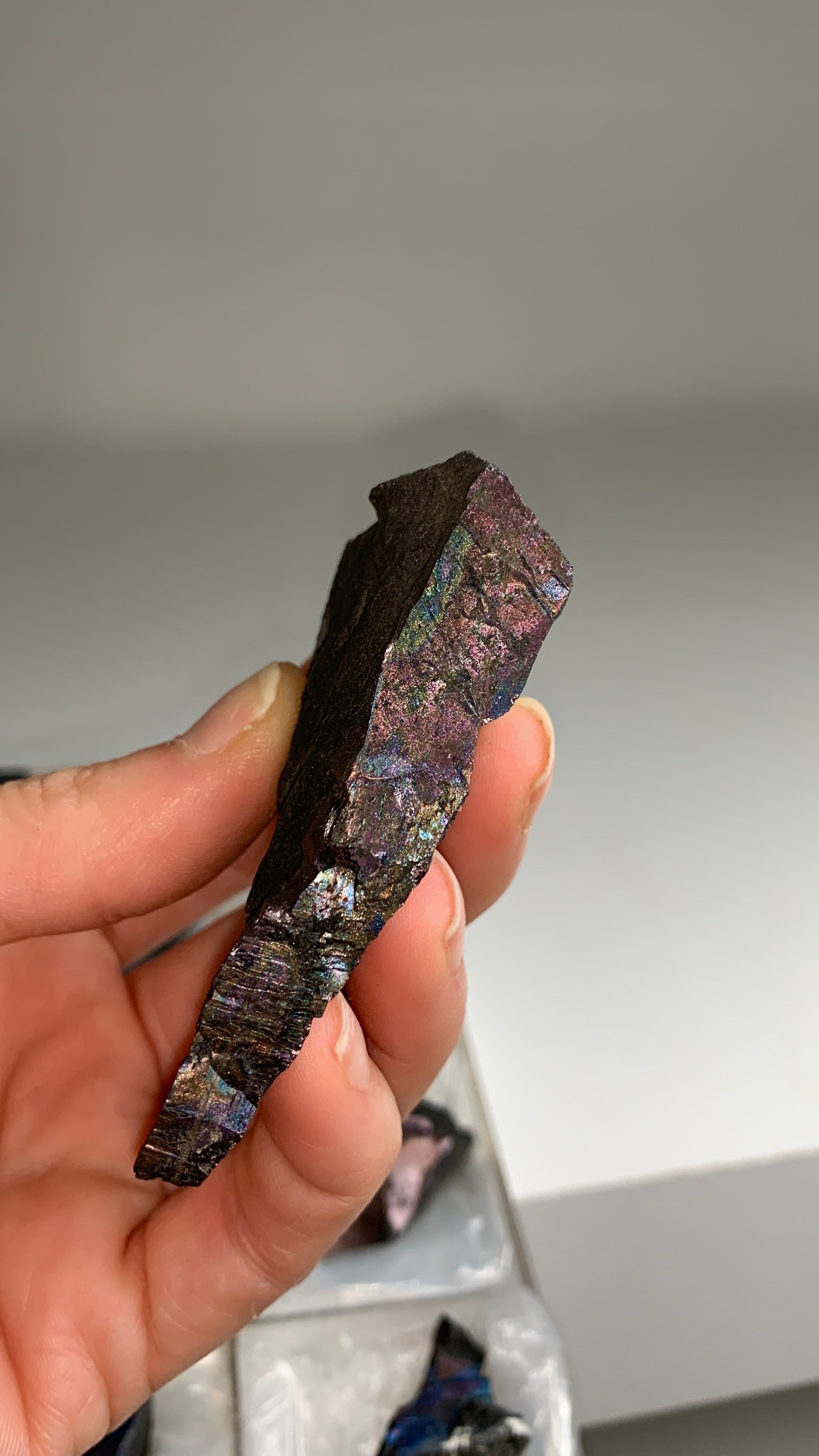 Bornite Red Rare ! Bornite Specimens Lot 🌈 - 12 Pieces – Pacific Minerals Shop