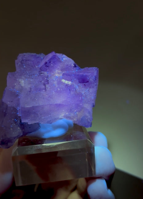 New Arrival ! Galaxy Fluorite