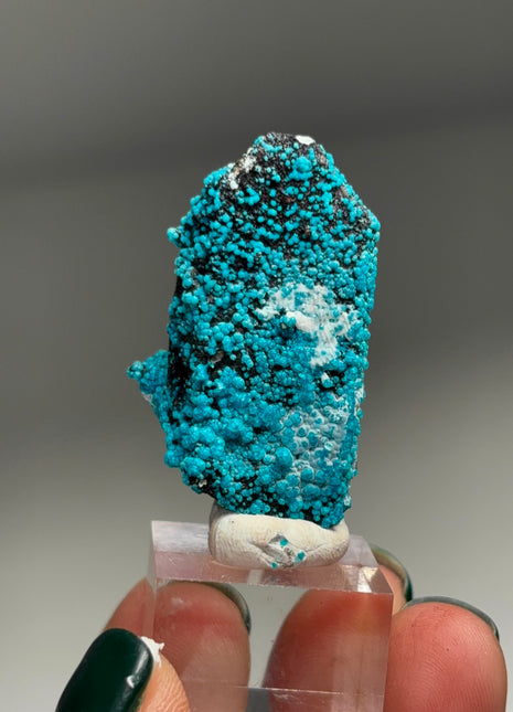 Quartz with Blue Chrysocolla