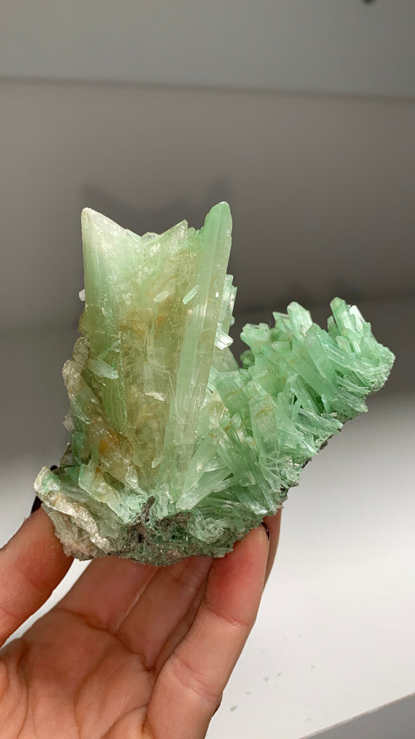 Green Gypsum var Selenite - From Lubin mine, Poland