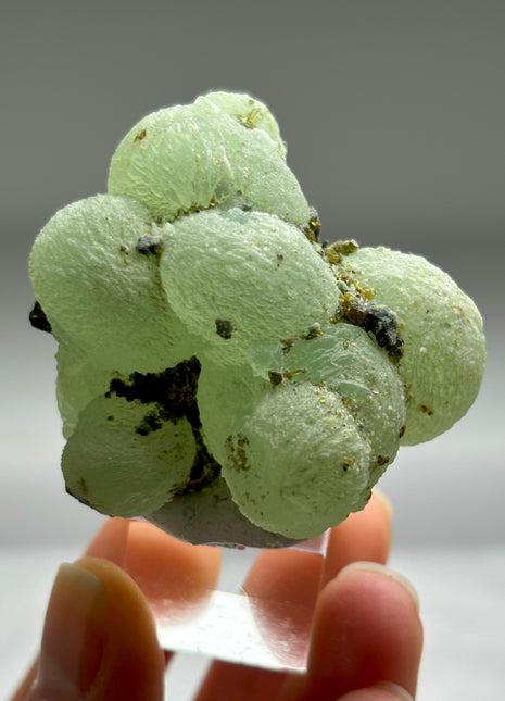 New ! Green Prehnite with Epidote - From Mali
