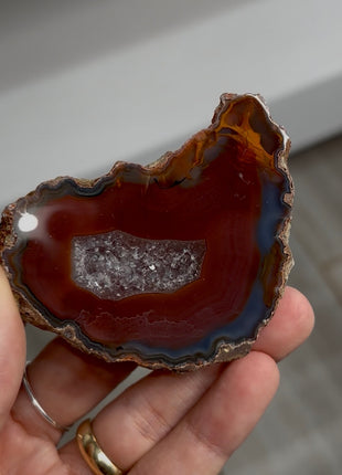 Condor Agate Geode from Argentina PM0881