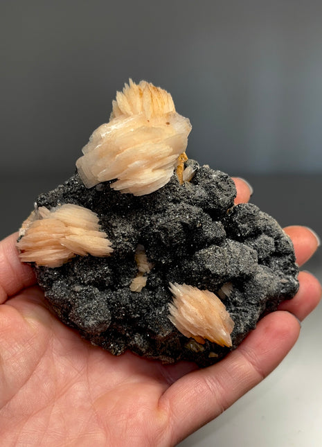 Pink Barite Flowers with Metallic Galena