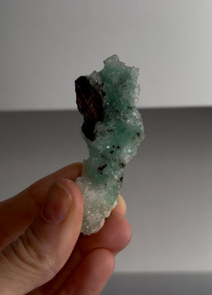 Caribbean Blue Aragonite