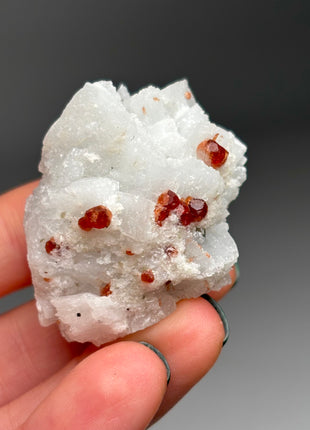 Red Garnet with Albite and Muscovite