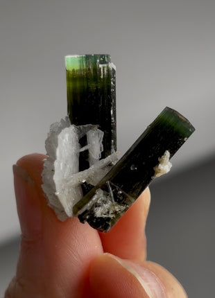 Green Cap Tourmaline with Cleavelandite PM1432