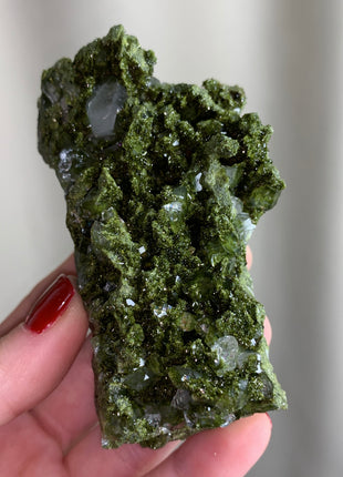 Forest Epidote with Quartz  🌲