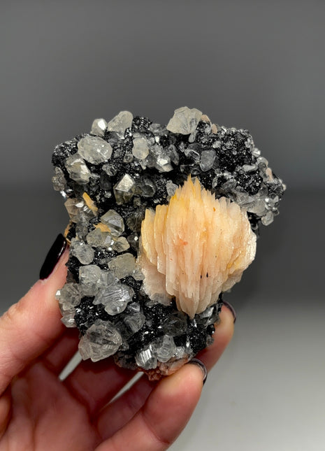 Pink Barite Flower with Cerussite and Metallic Galena