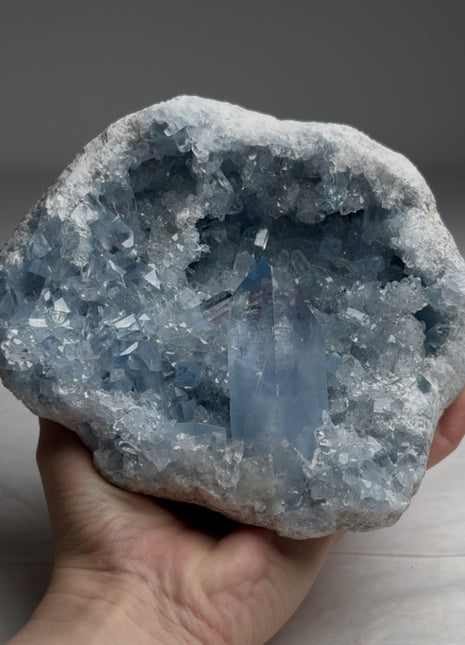Gem ! Sky Blue Celestite Geode