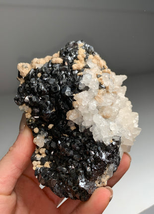 Lustrous Black Sphalerites with Calcite and Rhodocrosite - From Trepca mine