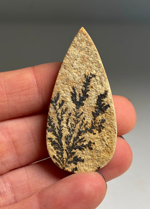 Dendritic Flower on Limestone from Germany