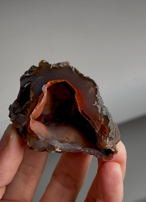 Red Fox Agate Geode from Argentina