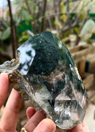 Our Finest ! Gem Chlorite Quartz Collection # 649
