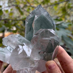 Collection image for: collection