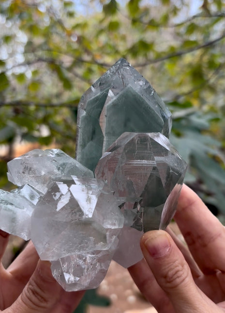 Top ! Himalayan Green Phantom Quartz Collection # 650