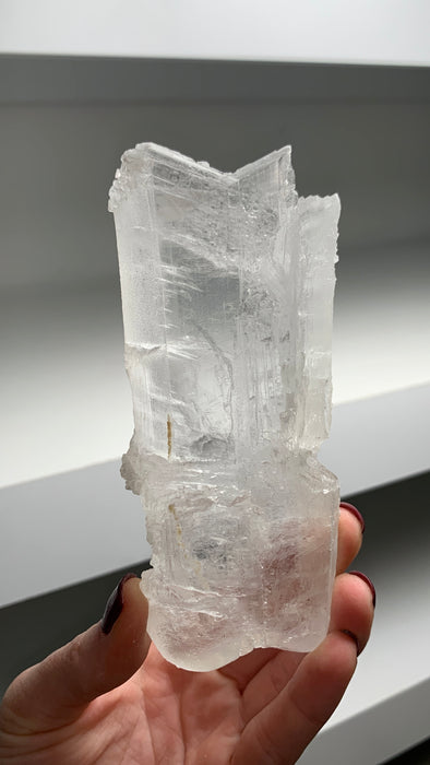 Selenite with Great Terminations
 From Mexico
