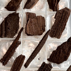 Collection image for: Permineralized Fossil Wood
