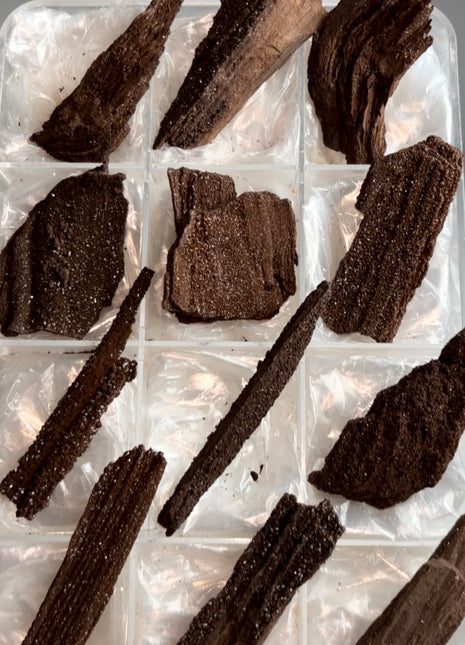 12 Piece Lot ! Rare Permineralized Fossil Wood with Quartz - From Germany