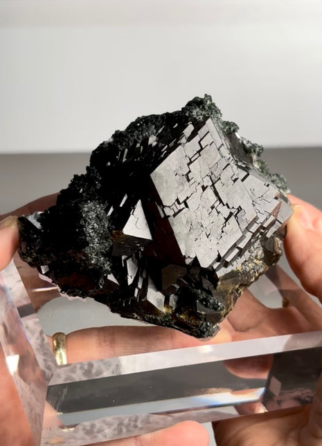 Our Finest ! Andradite Garnet with Quartz Collection # 795