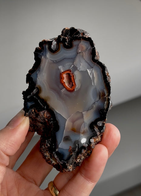 Blue Color ! Red Fox Agate from Argentina