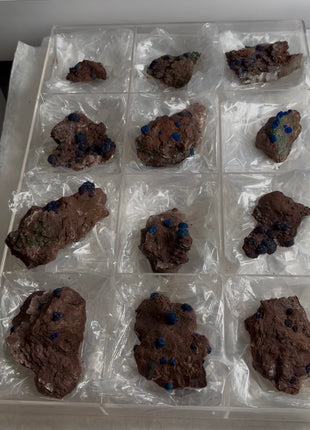 12 Piece Lot ! Rare Blueberry Azurite with Gypsum Specimens