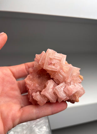 9 Piece Lot ! High Grade Pink Halite from Searles Lake, California