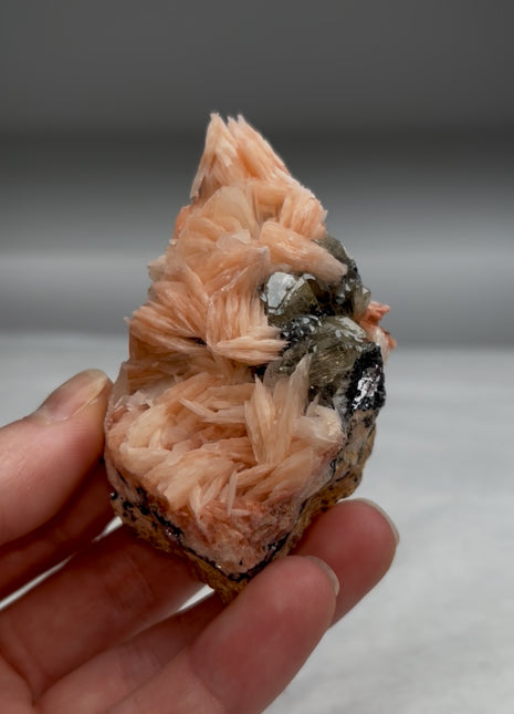 Pink Barite Roses with Cerussite