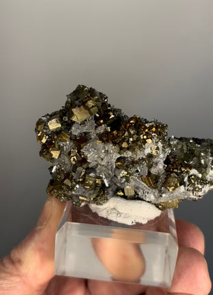 Iridescent Pyrite with Quartz