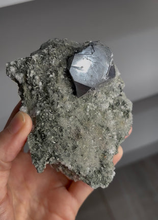 Rare Cubic Galena with Green Chlorite Quartz PM1289