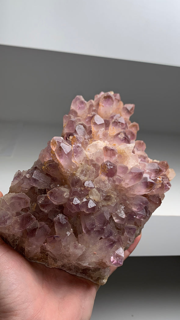 Stunning ! Amethyst with Yellow and Purple Phantoms - From Zambia