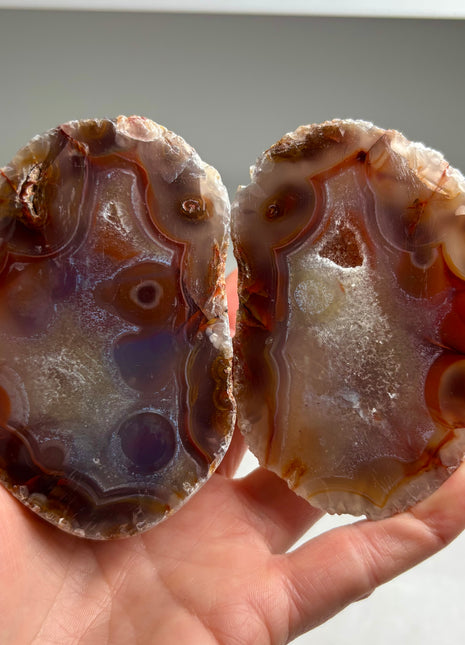 New ! Black Sea Agate Pair