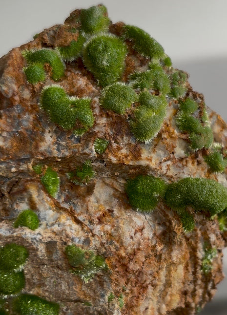Finest ! Acicular Pyromorphite from Saint-Salvy France Collection # 827
